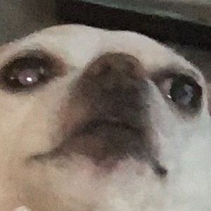 Meet your Posher, Fenwick